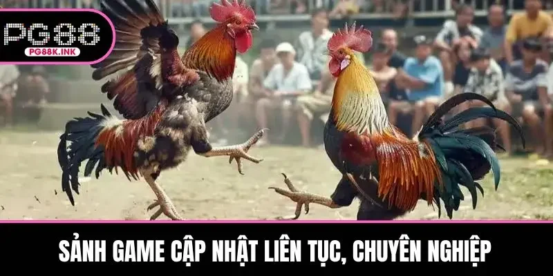 Sảnh game cập nhật liên tục, chuyên nghiệp