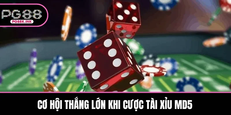 Cơ hội thắng lớn khi cược bộ môn MD5