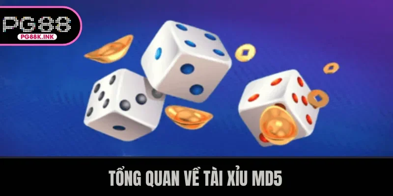 Tổng quan về tài xỉu MD5
